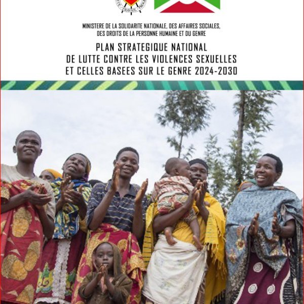 PLAN STRATEGIQUE NATIONAL DE LUTTE CONTRE LES VIOLENCES SEXUELLES ET CELLES BASEES SUR LE GENRE 2024-2030