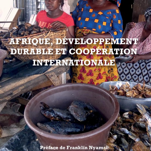 Afrique, développement durable et coopération internationale