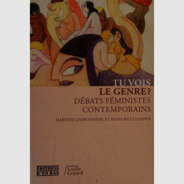 Tu vois le genre? débats féministes contemporains
